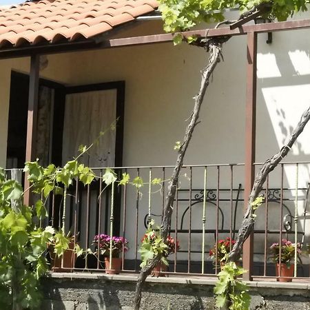 피에디몬테 에트네오 Casa Vacanza Etna Evergreen 빌라 외부 사진