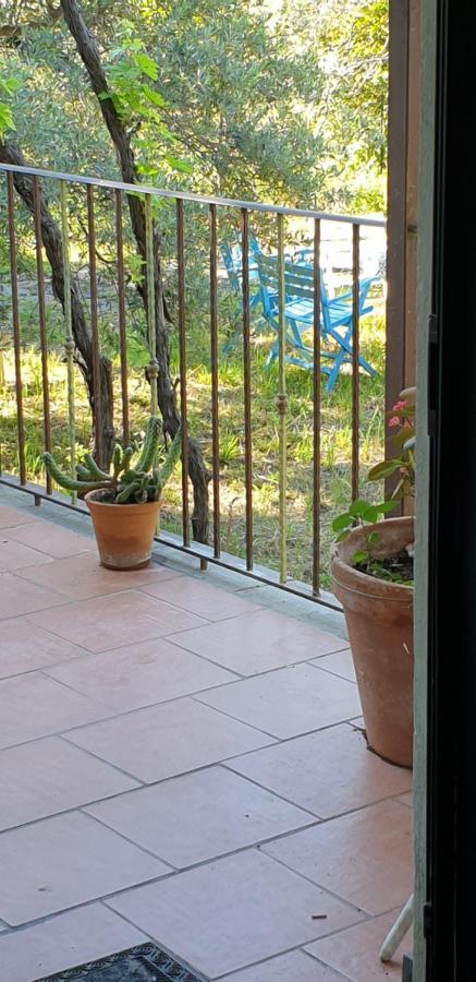 피에디몬테 에트네오 Casa Vacanza Etna Evergreen 빌라 외부 사진