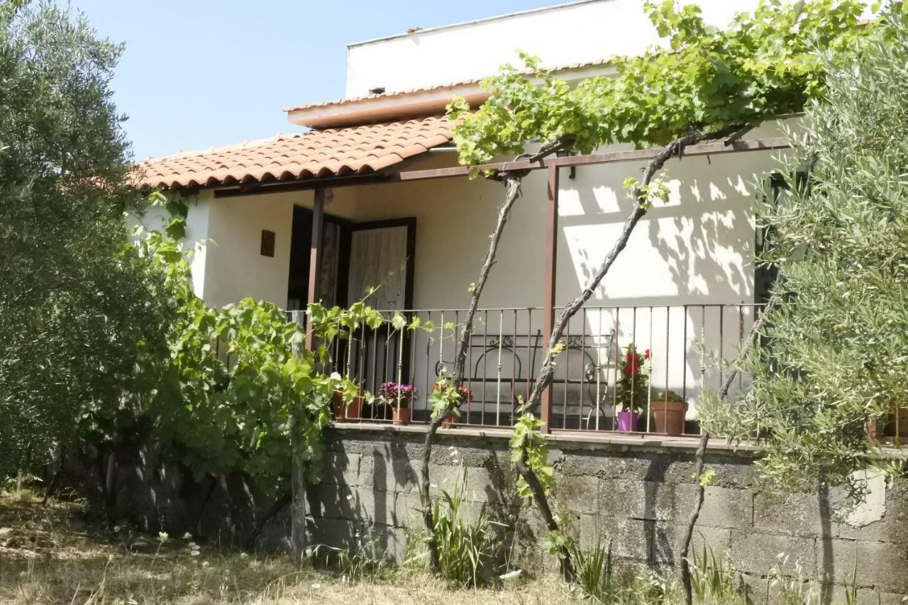 피에디몬테 에트네오 Casa Vacanza Etna Evergreen 빌라 외부 사진