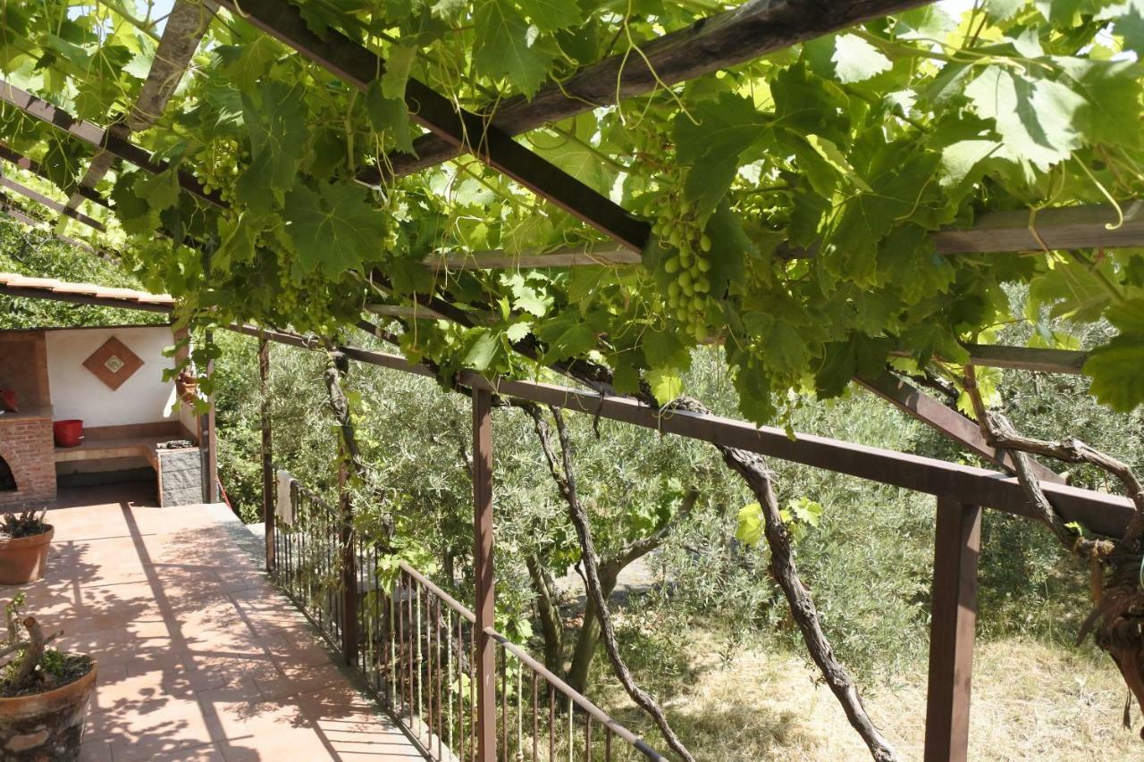 피에디몬테 에트네오 Casa Vacanza Etna Evergreen 빌라 외부 사진